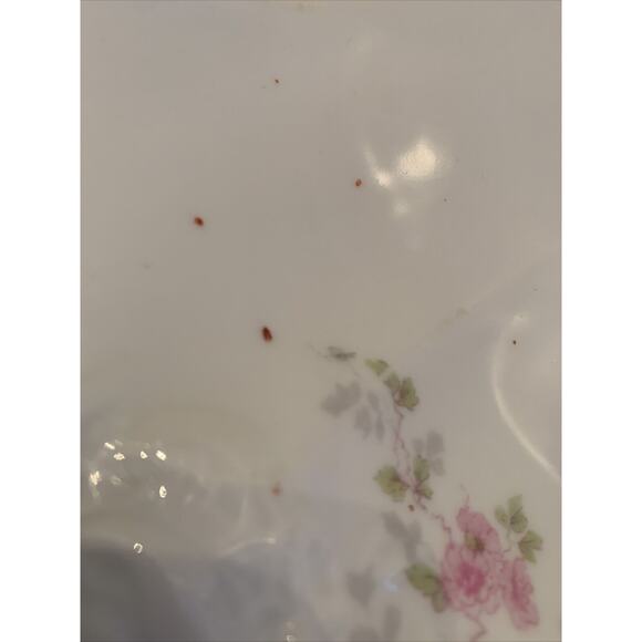 Vintage Imperial H & C Carlsbad Austria Large 19" Platter Pink Floral Green Leav - Picture 7 of 11